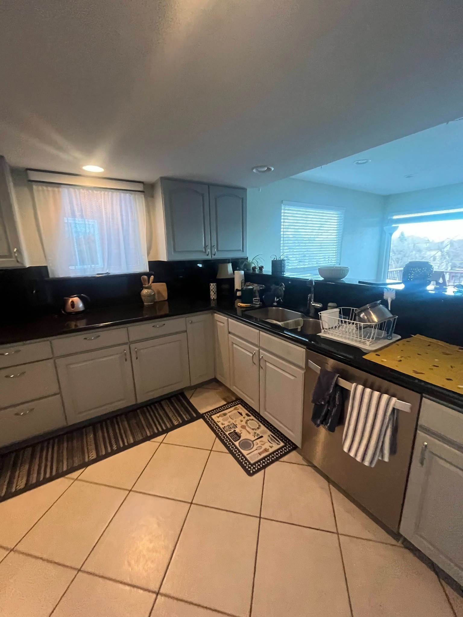 before-littleton-kitchen-remodel-sink-wall-and-dishwasher-view